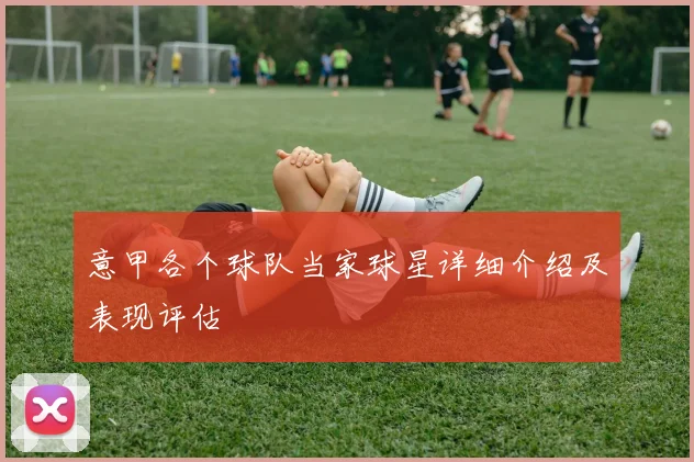 意甲各个球队当家球星详细介绍及表现评估