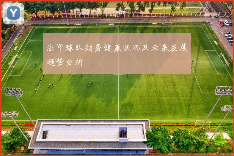 法甲球队财务健康状况及未来发展趋势分析