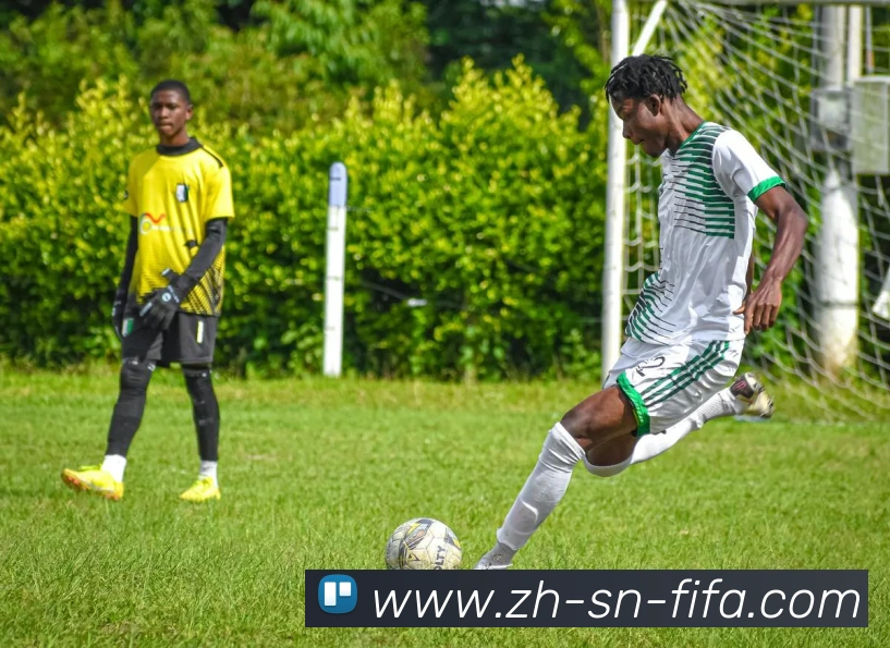 世界杯赛程服务体系