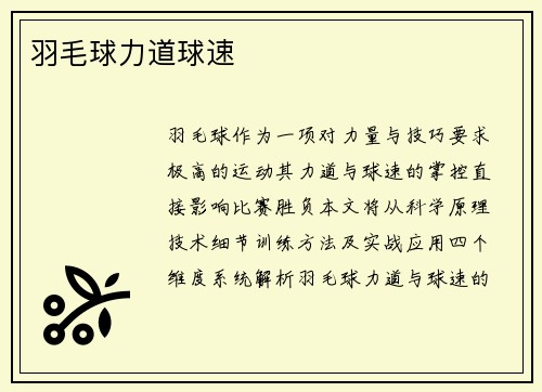羽毛球力道球速