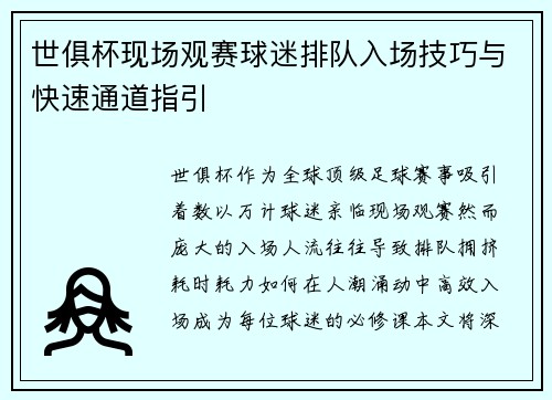 世俱杯现场观赛球迷排队入场技巧与快速通道指引