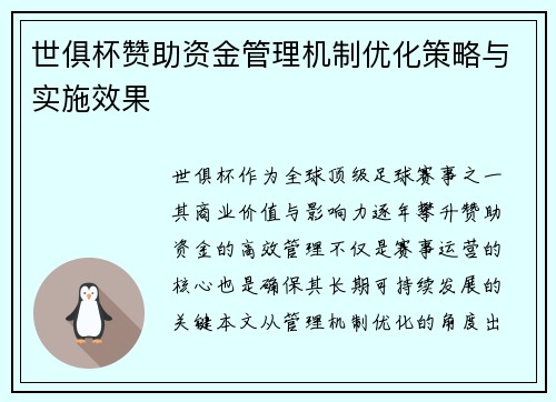 世俱杯赞助资金管理机制优化策略与实施效果