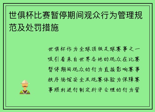 世俱杯比赛暂停期间观众行为管理规范及处罚措施